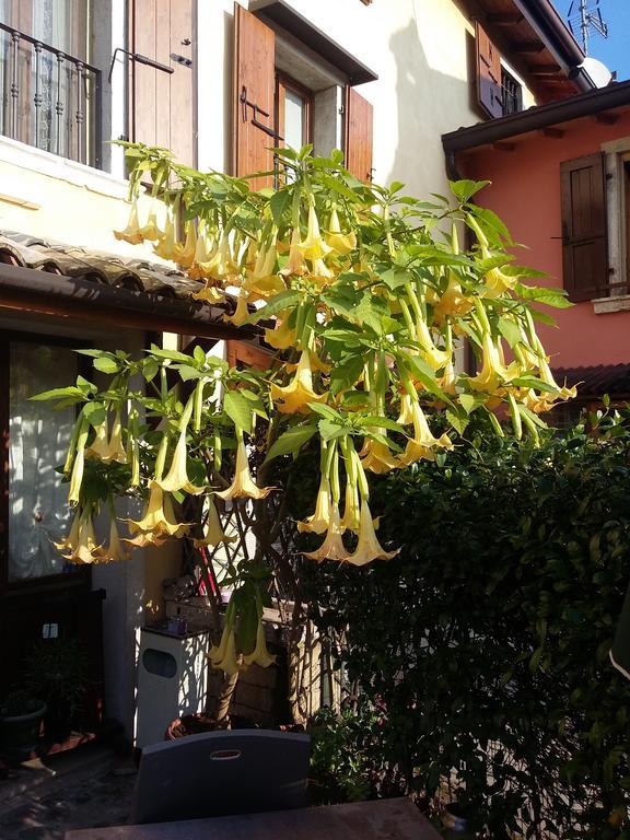 バルドリーノ La Carbonara 6 Bed & Breakfast エクステリア 写真