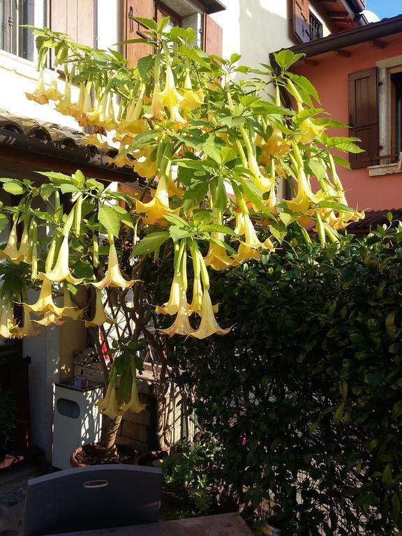 バルドリーノ La Carbonara 6 Bed & Breakfast エクステリア 写真